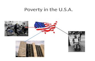 Poverty in the usa 2010
