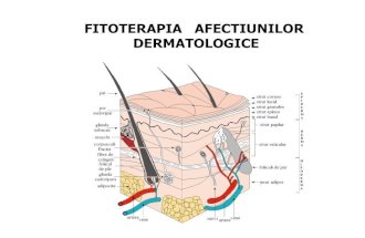 138652464 Fitoterapia in Afectiuni Cosmetice
