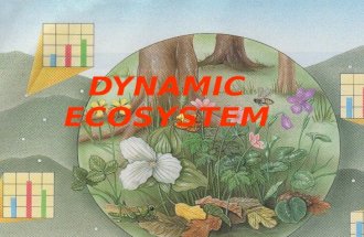 Dynamic Ecosystem