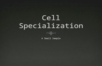 04 cell specialization