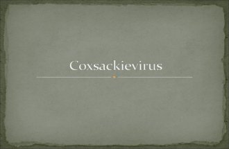 Coxsackievirus a b