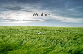Weather - tilt, seasons, wind