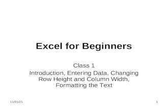 Excel for beginners class 1