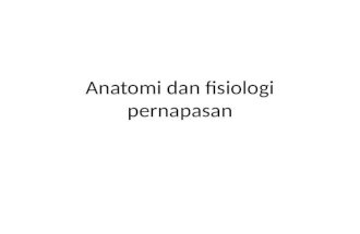 Anatomi Dan Fisiologi Pernapasan