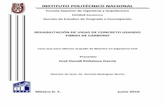 José Duvalí Peñaloza García.pdf