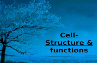 Cell structure and functions