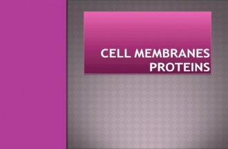 Cell membranes proteins