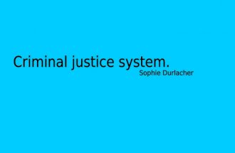 Criminal Justice System- Sophie Durlacher
