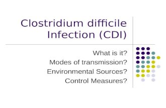 Clostridium difficile 2010