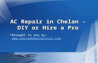 AC Repair in Chelan - DIY or Hire a Pro?