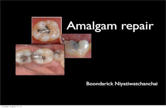 Amalgam repair