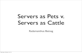 Servers as Pets v. Servers as Cattle