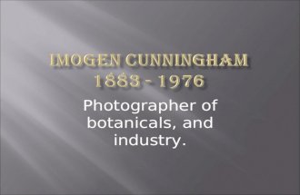 10 Imogen Cunningham