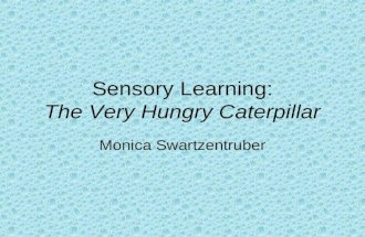 Sensory learning ppt