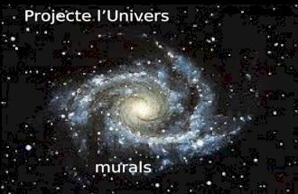 Projecte Univers murals