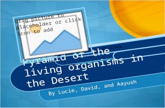 The desert biomes' animals