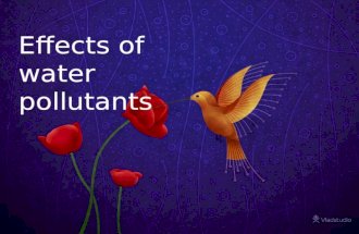 Effects of water pollutants