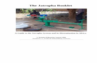 The Jatropha Booklet: A Guide to the Jatropha System and its Dissemination in Africa