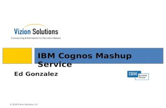IBM Cognos Mashup Service Screen Shots