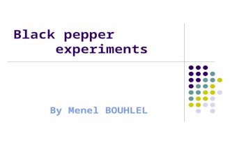 Black pepper and dish soap experiments2