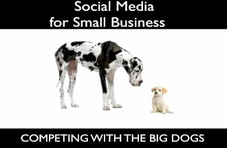 Using Social Media to Compete with Big Business