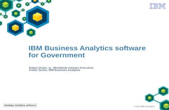 Business Analytics for Government