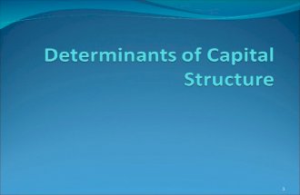 Capital  Structure