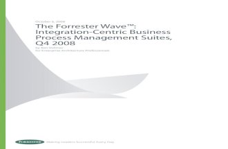 Forrester Wave Q4 2008