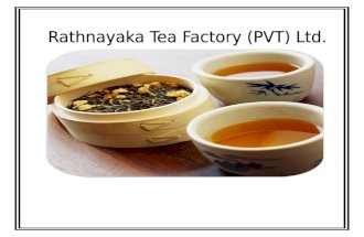 Tea manufacturing process part 1