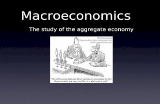 12.  macro economics