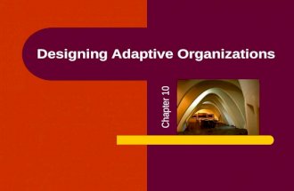 Chapter 10 designing adaptive organizations(1)