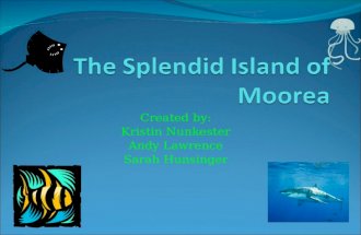 The Splendid Island Of Moorea
