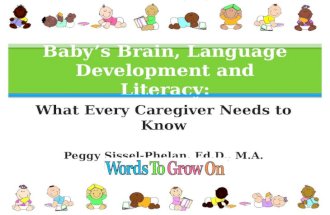 Baby’s brain development and literacy
