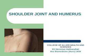 Humerus and Shoulder Joint