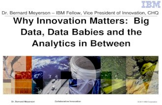 Innovation Matters - Bernie Meyerson