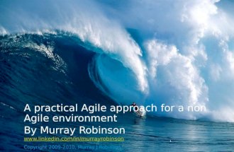 A Practical Agile Approach For A Non Agile Environment