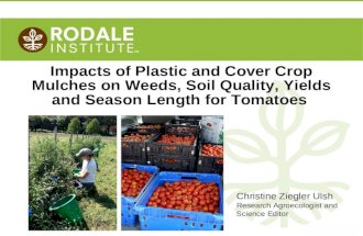 Impacts of Plastic and Cover Crop Mulches on Weeds, Soil Quality, Yields and Season Length for Tomatoes