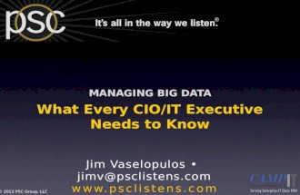 Managing Big Data - what every IT Executive Needs to Know