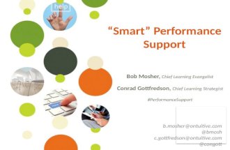 Webinar: "Smart" Performance Support