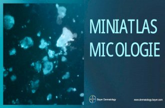 miniatlas micologie