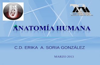 1 ANATOMIA HUMANA.pdf