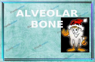 Alveolar Bone Perio