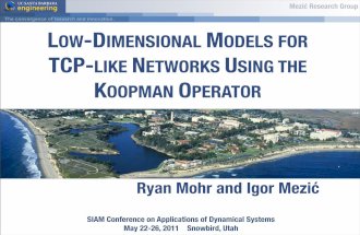 R. Mohr: Low-dimensional Models for TCP-like Networks Using the Koopman Operator
