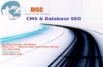 CMS & Database SEO By Rob Laporte, President DISC, Inc. - Making Web Sites Make Money 413-584-6500 Rob@2disc.com .