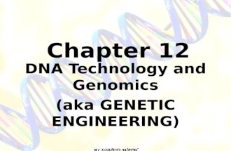 Chapter 12 DNA Technology and Genomics (aka GENETIC ENGINEERING) ALIGNED WITH Ch. 12 DNA Technology and Genomics Questions Worksheet.