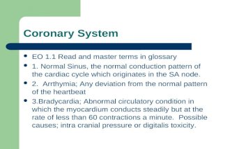 Coronary System EO 1.1 Read and master terms in glossary 1. Normal Sinus, the normal conduction pattern of the cardiac cycle which originates in the SA.