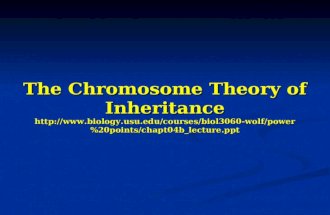The Chromosome Theory of Inheritance  wolf/power%20points/chapt04b_lecture.ppt.