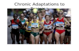 Chronic Adaptations to Training. Assumed knowledge Detailed understanding of the respiratory and circulatory systems. A thorough understanding of energy.