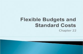 Chapter 22. Prepare a flexible budget for the income statement.