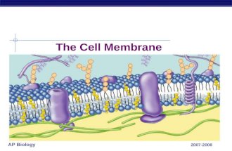 AP Biology 2007-2008 The Cell Membrane AP Biology Overview Cell membrane separates living cell from nonliving surroundings thin barrier = 8nm thick Controls.